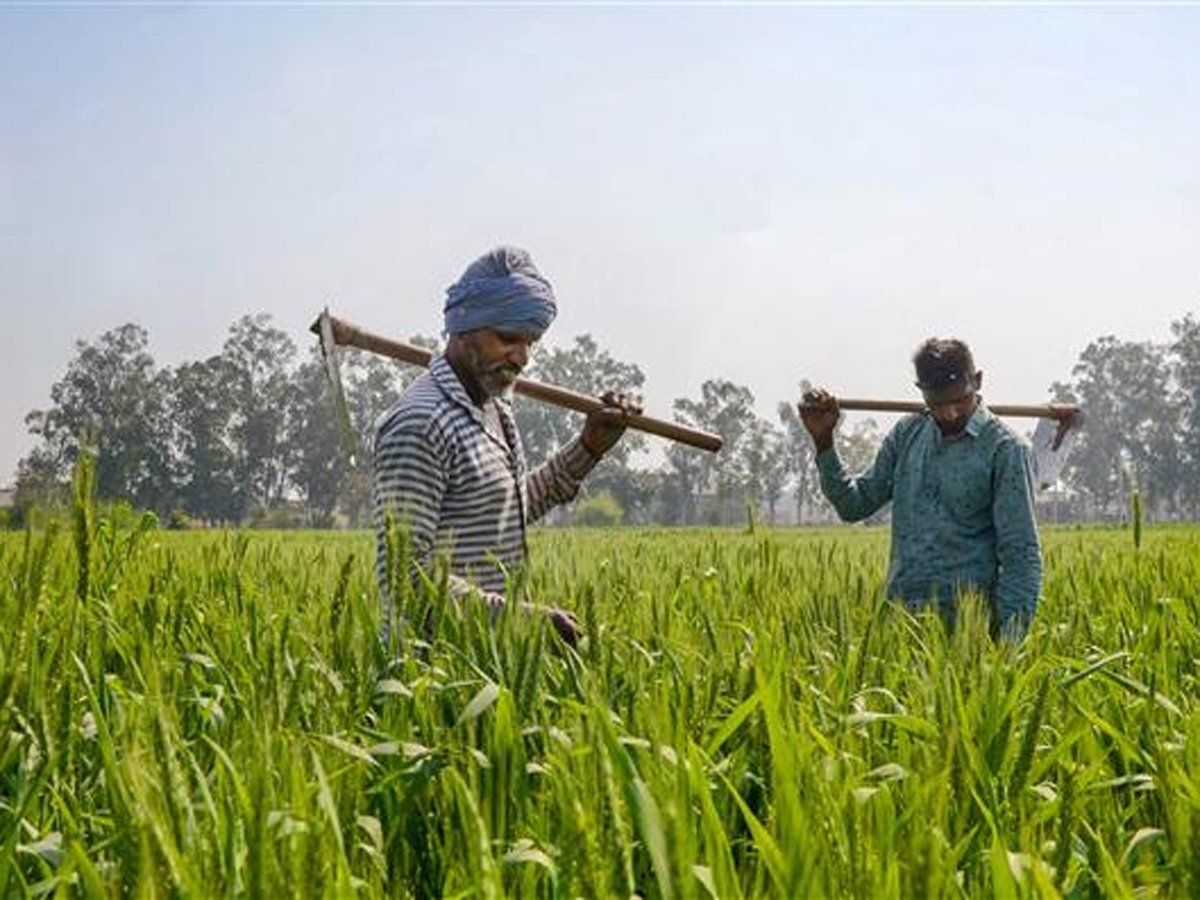 'अन्नदाताओं' का कवच बनी प्रधानमंत्री फसल बीमा योजना, यूपी सरकार ने किया 3074.60 करोड़ का भुगतान