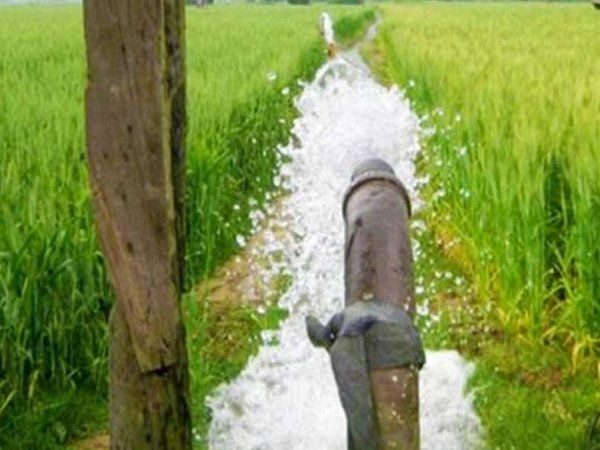 farmer killed in UP