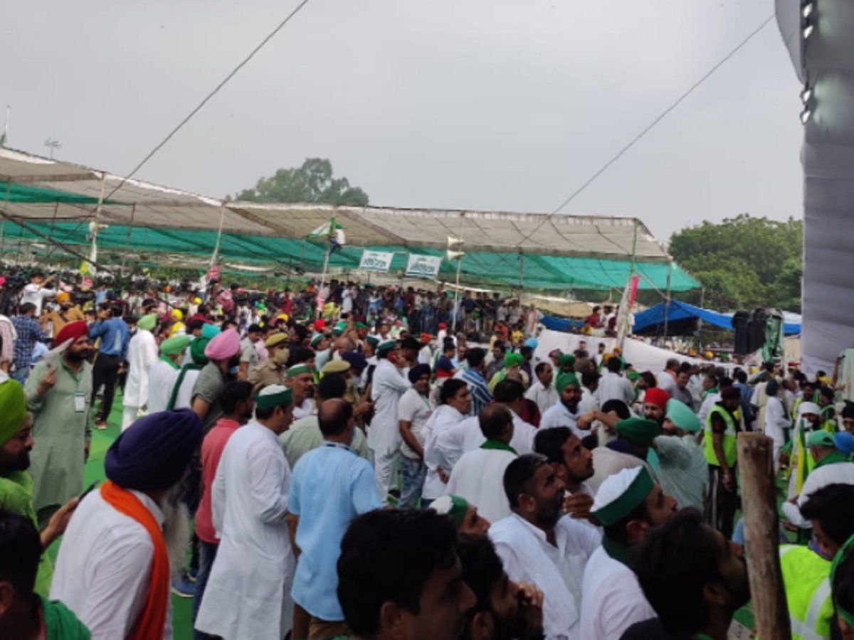 आखिर कितनी जायज हैं आंदोलन कर रहे किसानों की मांगें? MSP से होगा फायदा? जानें विशेषज्ञ की राय