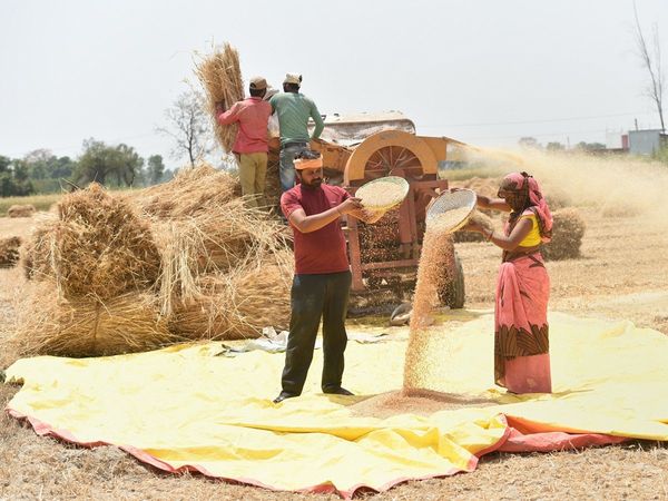 Airtel Payments Bank and MasterCard will help farmers in this way