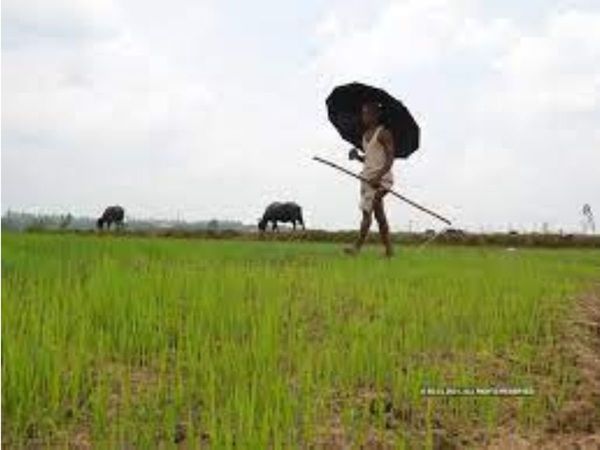 farmers, up, lucknow, noida, yogi adityanath
