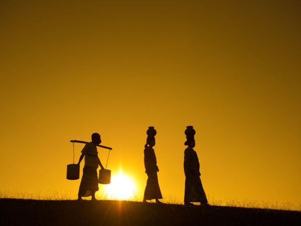 Uttar Pradesh, UP, Lucknow, yogi adityanath, Farmer