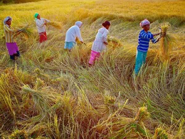 health of the farmers in View of coronavirus