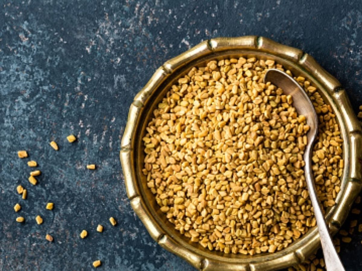 Benefits of Fenugreek: how to use fenugreek seeds for sugar control -  Benefits of Fenugreek: गर्मियों में शुगर का लेवल कम रखना है तो रोज पिएं ये  स्पेशल ड्रिंक, वजन रहेगा कंट्रोल |