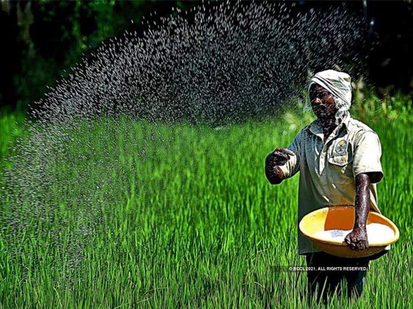 Good news for farmers, subsidy on DAP fertilizers rises 140 percent
