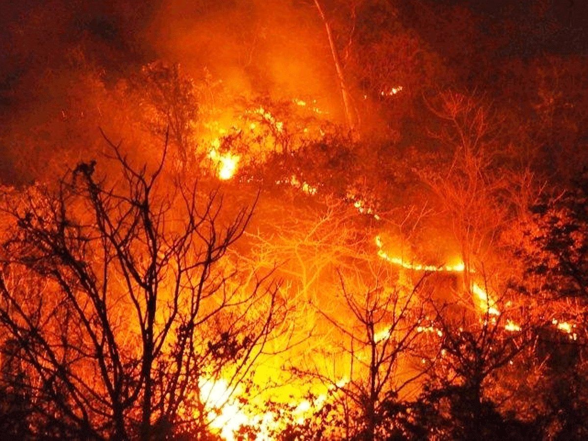 Uttarakhand Fire:आग से धधक रहे हैं जंगल, पिछले कुछ समय में सामने आईं आग की कुछ घटनाएं