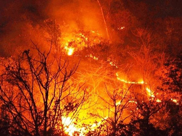 Uttarakhand forest fire news