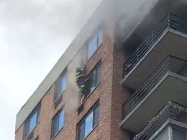 'स्‍पाइडरमैन' दमकलकर्मी ने 16वीं मंजिल से महिला को कुछ इस अंदाज में किया रेस्‍क्यू, वायरल हुआ वीडियो