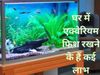 Vastu Tips for Fish Aquarium