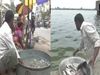 Dead bodies in the Ganges, fish sales affected, fishermen forced to put back into river
