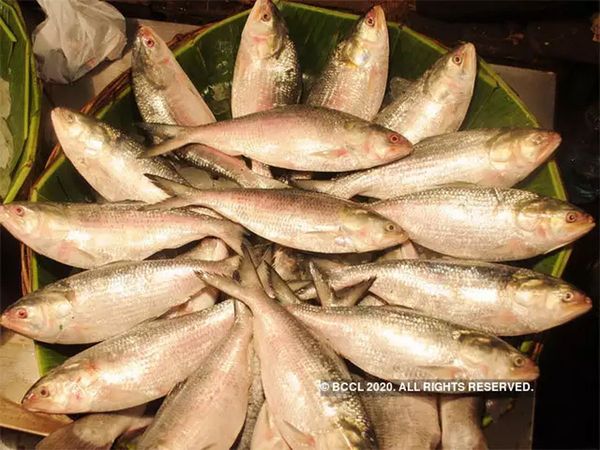 ban on sale of meat and fish in Lucknow