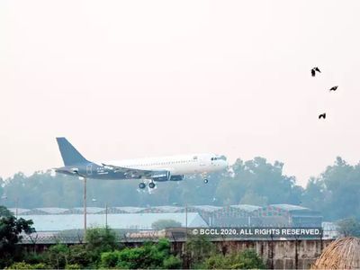 उड़ानों पर टिड्डियों का असर, DGCA ने जारी किया सर्कुलर उड़ानों पर टिड्डियों का असर, DGCA ने जारी किया सर्कुलर