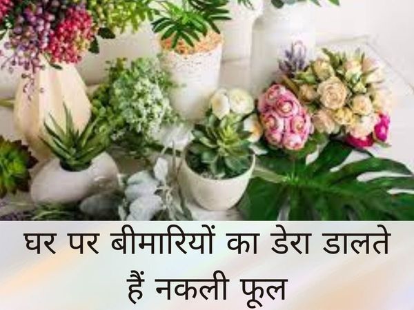 Home Vastu Tips