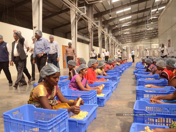 Rs 250 crore Investment in Joram Mega Food Park, 5000 people to get employment, 25000 farmers will take benefit