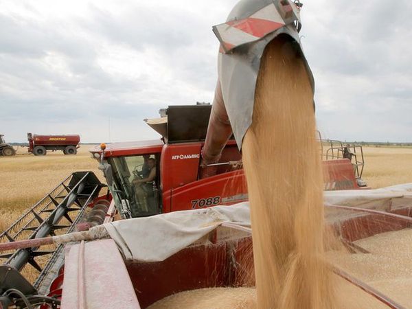 Ukraine Crisis: People of grain basket country queue for bread, next few months extremely difficult