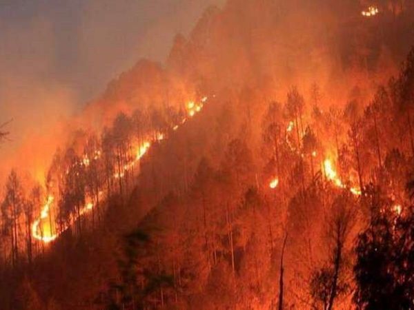 forest-fire Uttarakhand