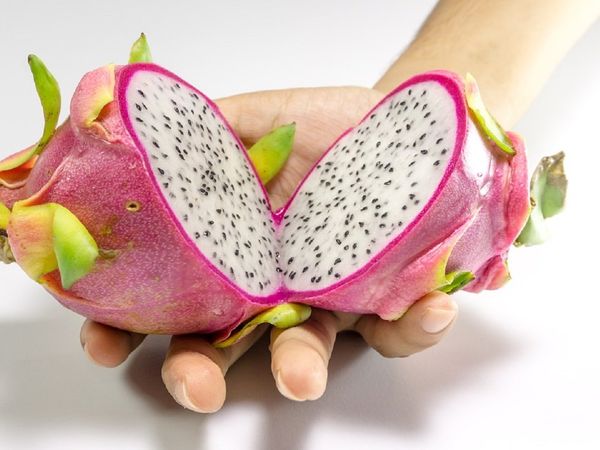 डेंगू से लेकर डायबिटीज तक, हेल्‍थ के लिए बेहद गुणकारी हैं ड्रैगन फ्रूट्स, हाल ही में बदला गया नाम