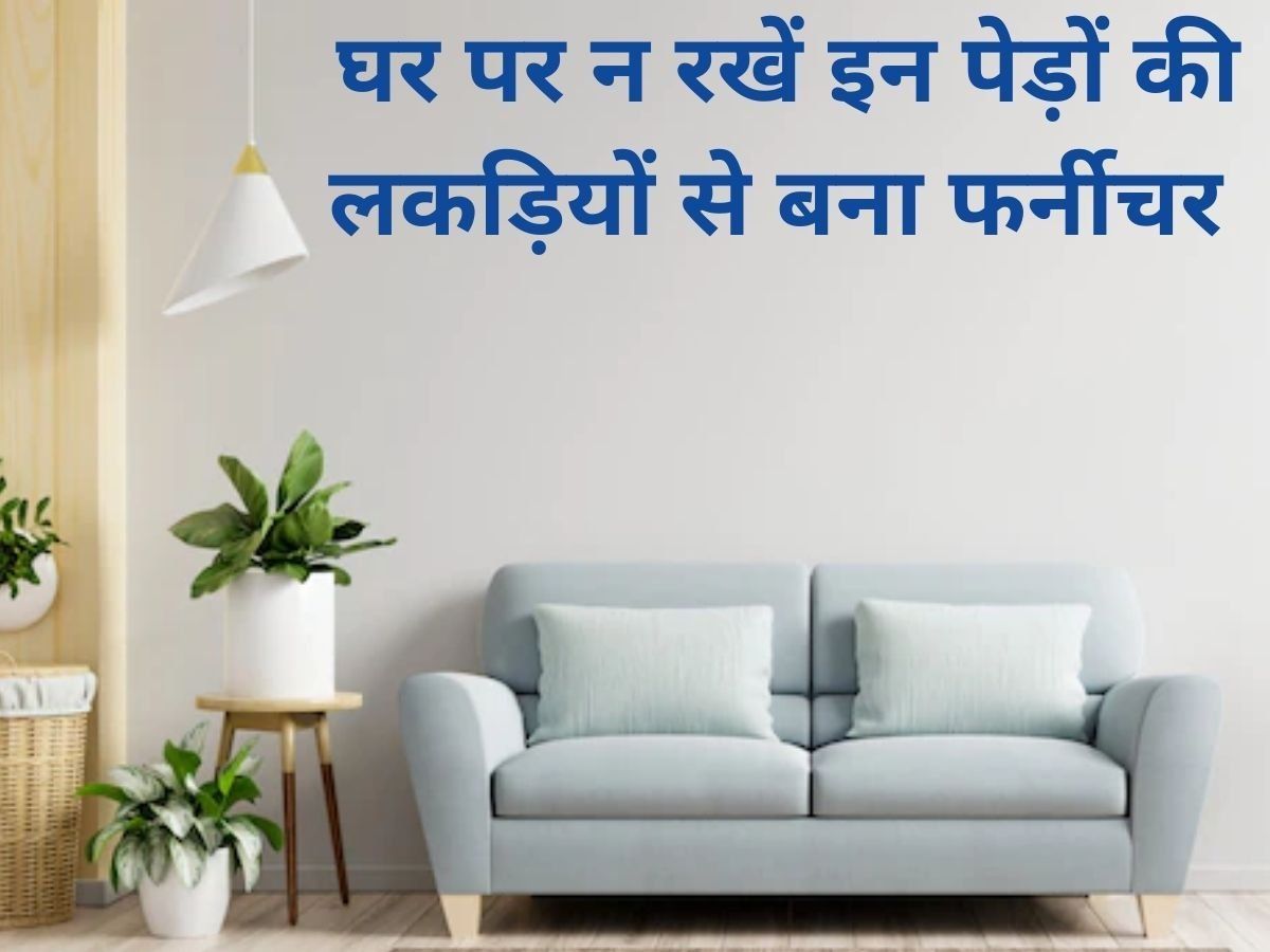 Vastu Tips For Furniture: भूलकर भी घर में ना रखें इन पेड़ों की लकड़ी से बना फर्नीचर, रुक जाएगी उन्नति