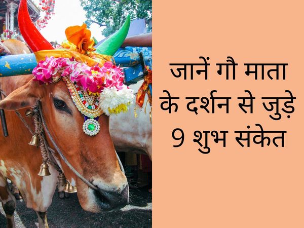 10 Omen Of The Cow, Omen Of Cow, cows omen, cow mooing omen, three eyed cow omen, cow sneezing omen, cow with 3 eyes meaning, Meaning of cow coming to the door, cow coming inside house in dream, गाय के शकुन, गाय के शगुन और अपशगुन, गाय के बोलने का शगुन, दर