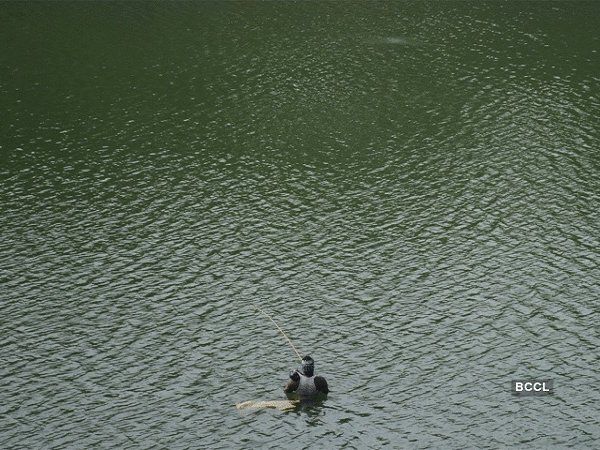 जीवनदायिनी गंगा को भी मिली सांस, यूपी के ज्यादातर इलाकों में पानी स्वच्छ, सीपीसीबी ने भी लगाई मुहर