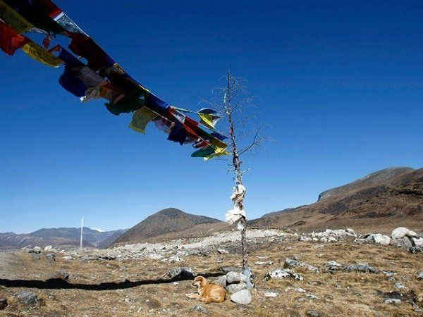 गलवान घाटी हिंसा: हिंसक झड़प में चीनी कमांडिंग ऑफिसर भी मारा गया !