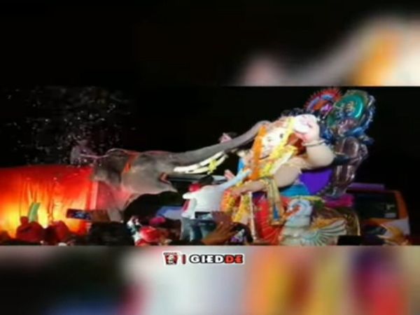 Elephant Welcome Lord Ganesh In Unique Style Video Goes Viral