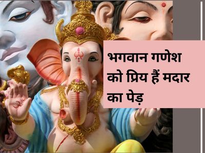 vastu tips vastu tips