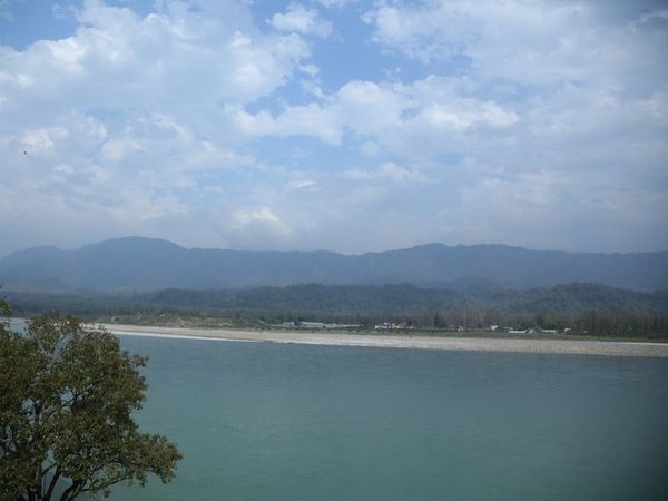  ganga covid 19, ganga coronavirus, dead bodies ganga, ganga dead bodies, up ganga river, Bihar Ganga river,गंगा नदी में कोराना वायरस रिपोर्ट, गंगा नदी और कोरोना ,novel coronavirus in River Ganga