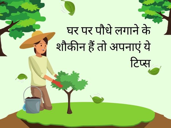 easy tips for Gardening