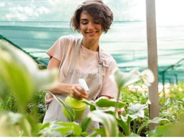 गार्डनिंग करने से स्ट्रेस और डिप्रेशन दूर होता है
