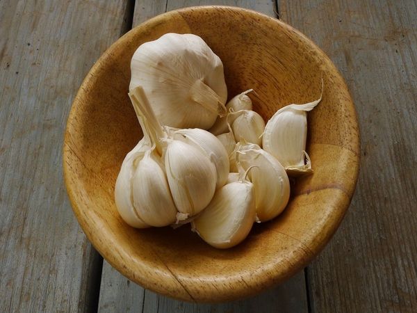 garlic health benefits