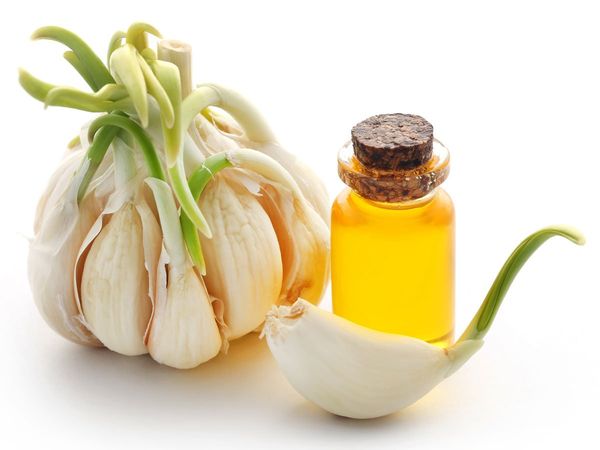Garlic Oil