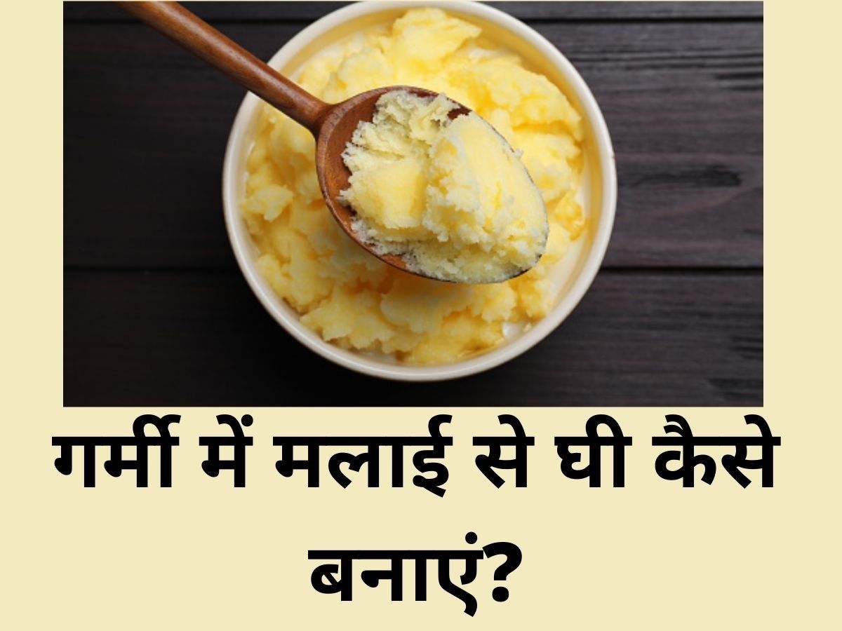 Malai Ghee Recipe how to make ghee from malai in summer गर्मियों में