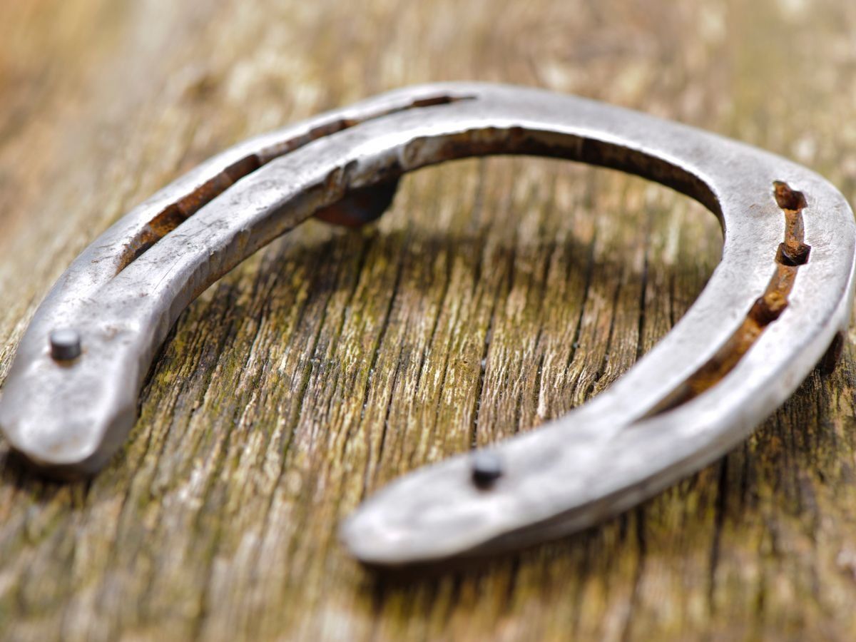 Ghode Ki Naal Upay Magical measure of horseshoe put it in the right