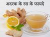 Ginger Juice Benefits, Adrak ke Ras ke Fayde, Ginger in hindi, Ginger Juice Benefits in Hindi, Ginger in hindi