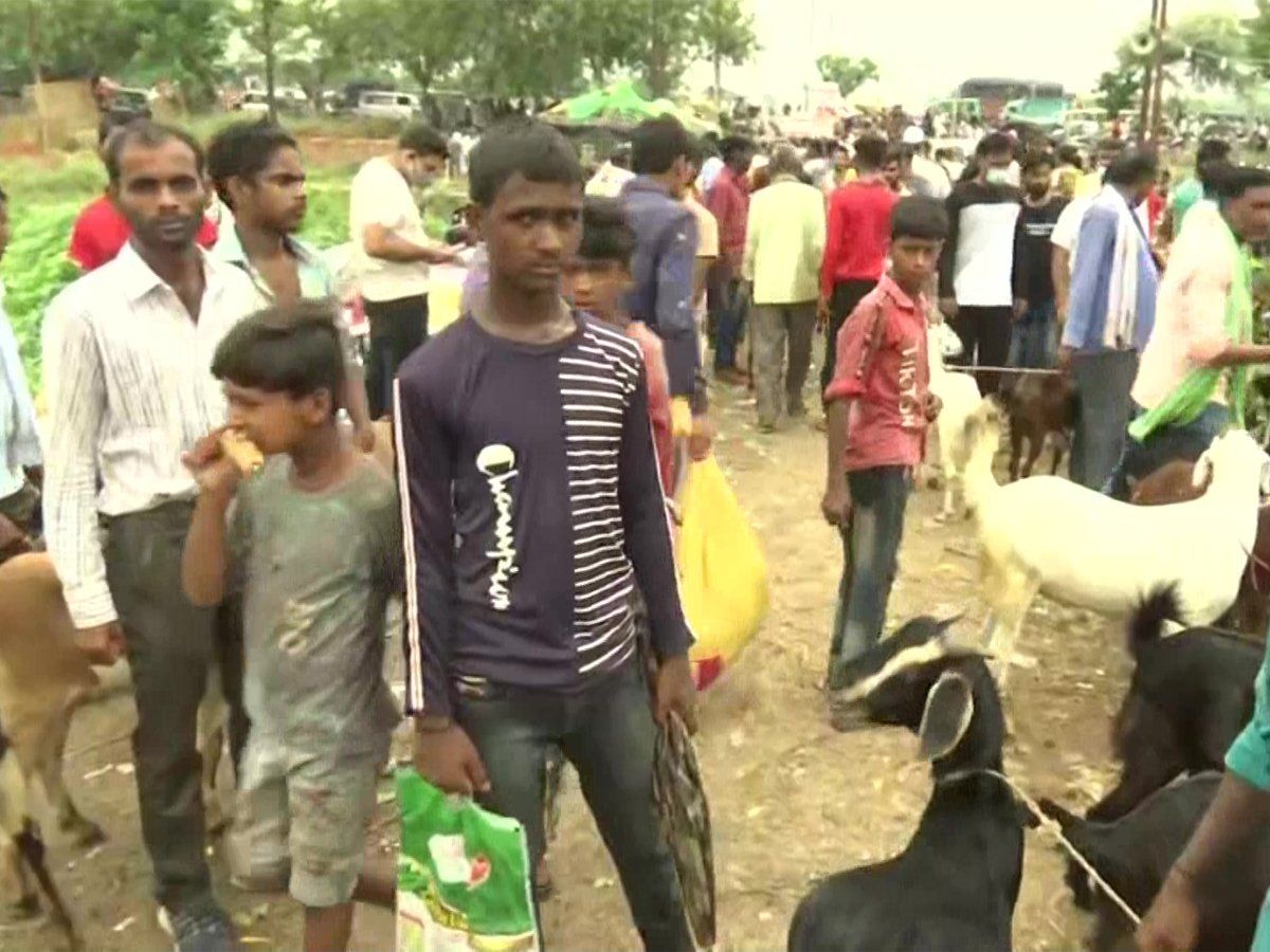 Bakrid 2021 : लखनऊ के बकरा बाजार में उमड़ी भारी भीड़, कोरोना नियमों का पालन नहीं
