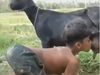 Goat Funny Video Boy Drink Goat Milk Funny Viral Video in Hindi