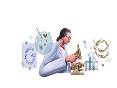 Google dedicated its doodle to Dr Kamal Ranadive, did great research on cancer Google dedicated its doodle to Dr Kamal Ranadive, did great research on cancer