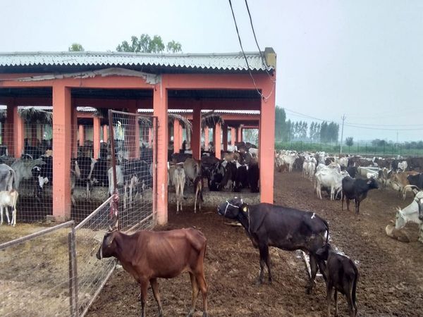 Emphasis on biogas production in Ranchi