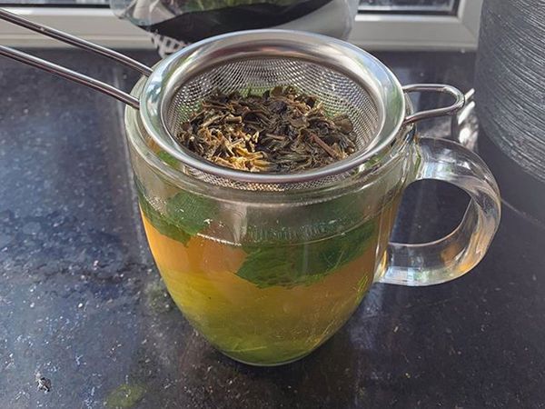 green tea for weight loss