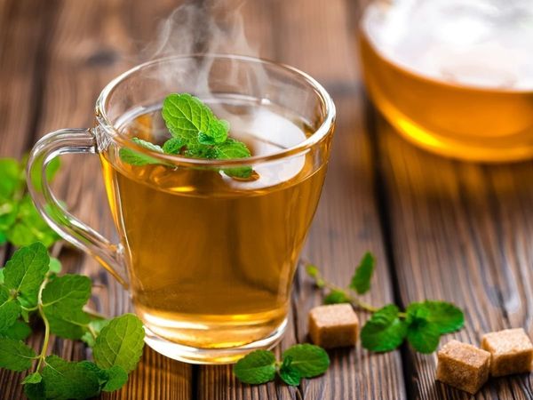 green tea, green tea benefits, green tea disadvantages, green tea for weight loss, best time to drink green tea for weight loss, best time to drink green tea, best way to make green tea, best time to drink green tea for skin, how to prepare green tea for 