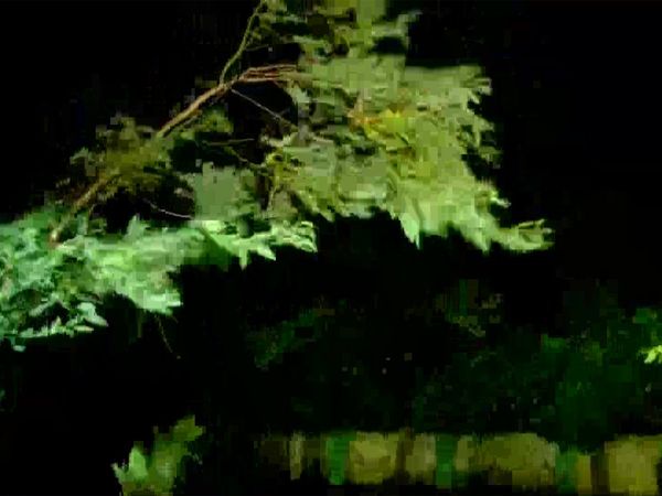 Cyclonic Storm ‘Gulab’ weakened into a Deep Depression 