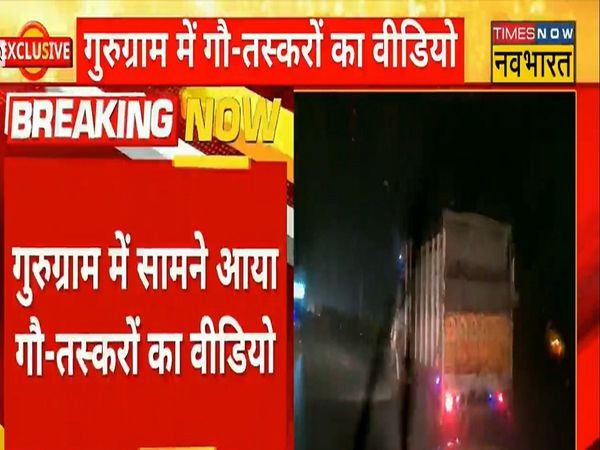 Cow Smugglers, Haryana,