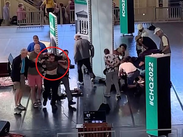 salman rushdie, salman rushdie attack, hadi matar