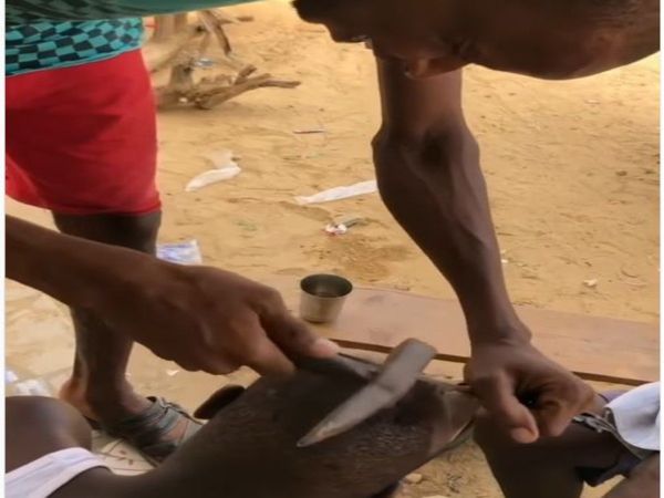 Funny Viral Video man bald with hammer Today Viral Video