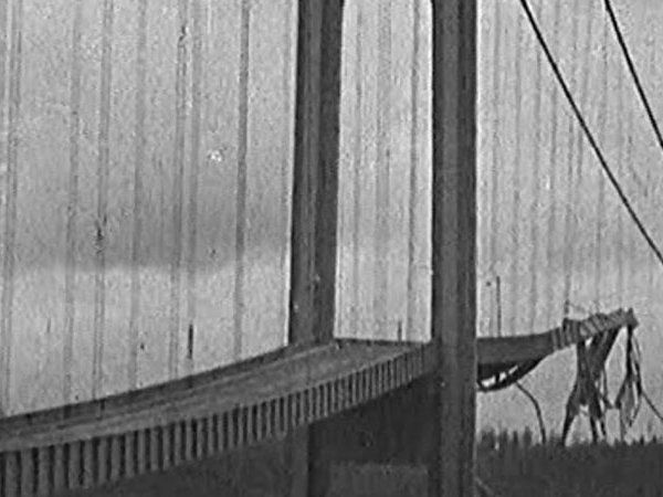 Hanging Bridge Assam Incident