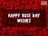 happy rose day, happy rose day 2022, happy rose day images, happy rose day images 2022, happy rose day 2022 status, happy rose day wishes images, happy rose day quotes, happy happy rose day wishes quotes, happy rose day wallpaper, happy rose day video