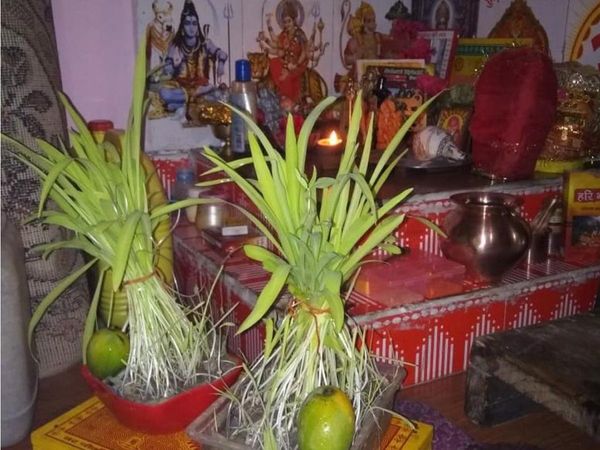 Harela 2020 traditional festival of devbhoomi uttarakhand sawan maas bhagwan shiv 