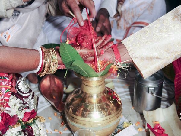 haryana lockdown wedding rules