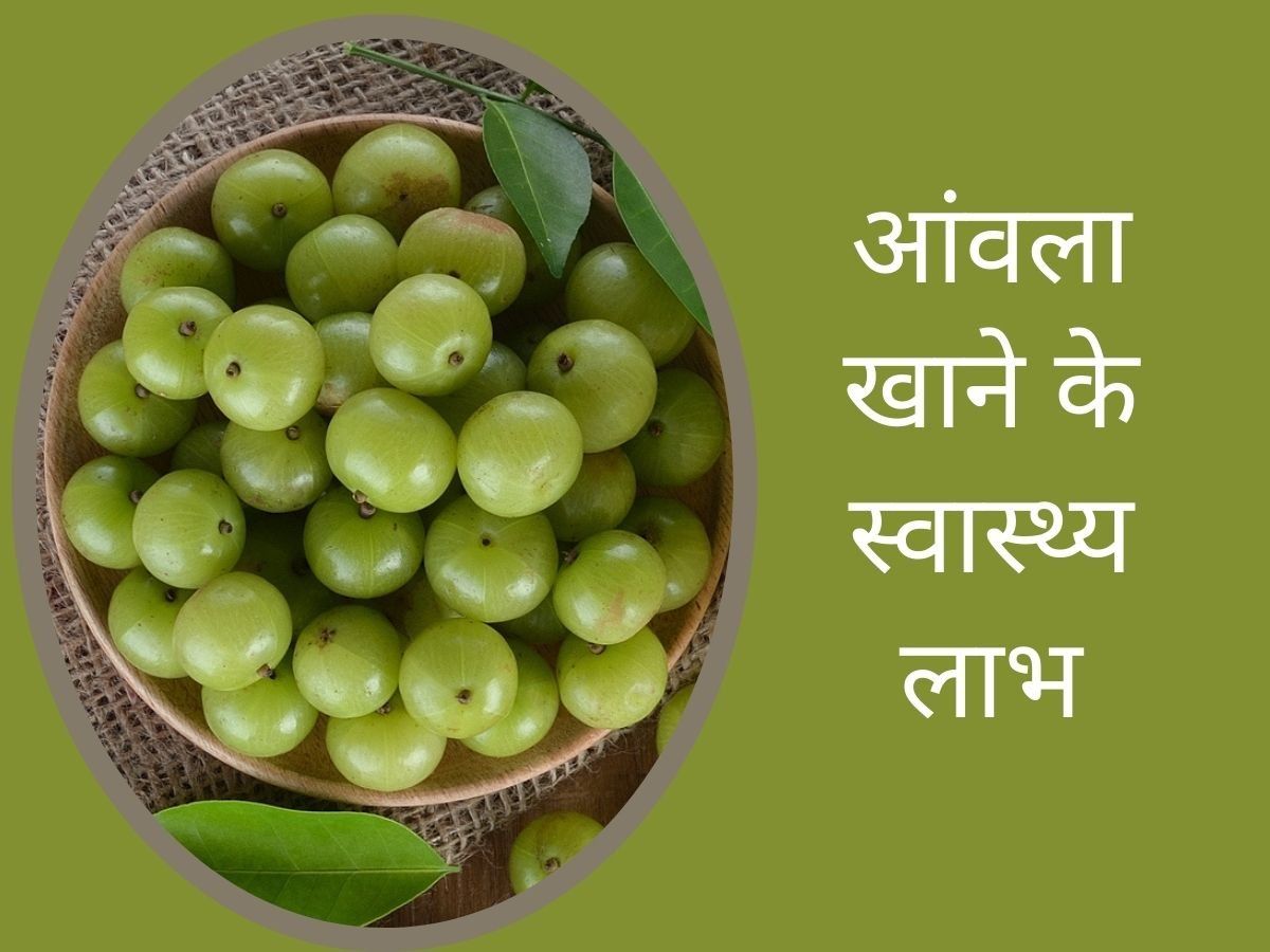 Health Benefits Of Eating Amla In Winter Season how to eat amla in winters Health Tips in Hindi